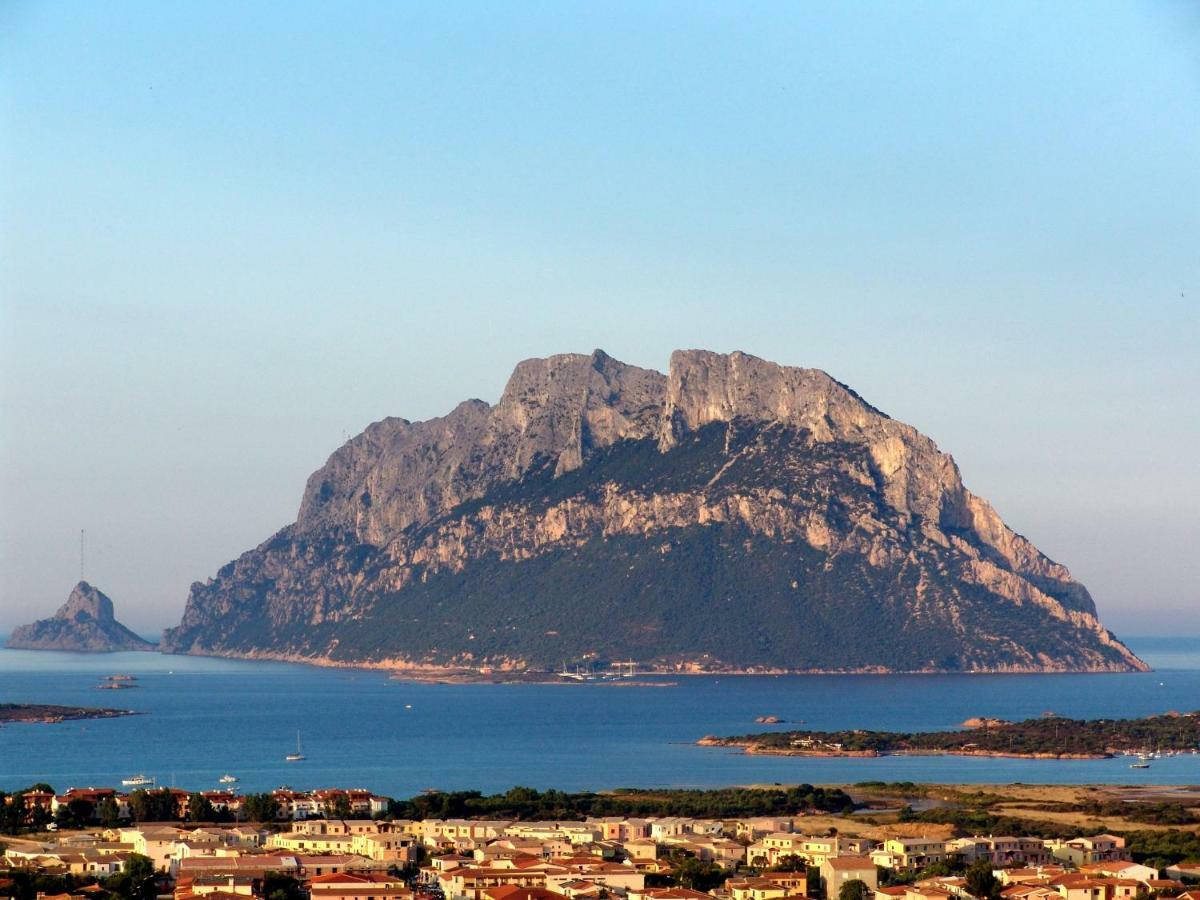 Residence L'Ea Di Lavru - Appartamenti Mono-Bilo-Trilocali Porto San Paolo  Zewnętrze zdjęcie